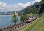 RABe 511/850543/der-sbb-rabe-511-109-ist Der SBB RABe 511 109 ist als RE 33 von Annemasse nach St-Maurice kurz vor Villeneuve unterwegs. 

4. Juni 2024