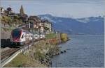 RABe 511/867665/der-sbb-rabe-511-117-ist Der SBB RABe 511 117 ist bei St-Saphorin als RE auf dem Weg nach Annemasse. 

12. Nov. 2024