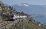 RABe 511/870504/infolge-bauarbeiten-wird-der-sbb-rabe Infolge Bauarbeiten wird der SBB RABe 511 029 als IR nach St-Maurice via die 'Train des Vignes' Strecke (KBS 111) umgeleitet und bietet so vor der eindrücklichen Landschaft ein herrliches Motiv, trotz Nachschuss. 

20. März 2022