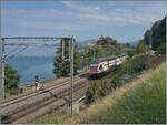 Der SBB RABe 515 102 ist beim Château de Chillon auf dem Weg nach St-Maurice.

30. Juni 2025