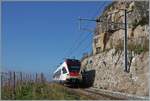 Der SBB RABe 523 028 ist als Regionalzug oberhalb von St-Saphorin auf dem Weg von Puidoux nach Vevey.