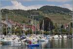 Als wir in Lutry auf unser Schiff nach Vevey warteten, sah ich, dass von dieser Stelle die Strecke Lausanne - Bern im Lavaux oberhalb von Lutry ein ganz passables Motiv abgeben w�re. Und bald darauf kam auch schon ein Zug: Ein SBB Flirt RABe 523 auf dem Weg nach Lausanne. 

6. August 2026
