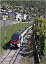 rabe-5243-flirt-3/849117/der-tilo-rabe-524-303-ist Der TILO RABe 524 303 ist zwischen Locarno und Tenero auf  dem Weg in Richtung Bellinzona. 

26. April 2023