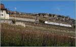 Zwischen Vevey und Chexbres fährt die aus einem  Domino  bestehnde S31 bergwärts.
22. Nov. 2014