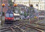 Ein SBB RBDe 560 Domino ist in Neuch�tel angekommen und rangiert nun auf ein Abstellgleis. Teleaufnahme vom Bahnsteig aus.

24. August 2026