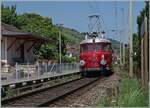 Nachdem die Reisegesellschaft in einem Weingut in Schafis sicherlich gut gespeist hatte, fuhr der OeBB RCe 2/4 607 (Baujahr 1938/Hersteller SLM, MFO, BBC und SAAS) wieder nach Balsthal zur�ck. Ich konnte den formsch�nen Leicht-Schnelltriebwagen bei der Durchfahrt in Ligerz fotografieren, wobei hier nur ein Teil des ehemaligen G�terschuppens zu sehen ist. Der RCe 2/4 607 war der letzte von sieben abgelieferten Roten Pfeilen. Der grosse Erfolg der eleganten Z�ge lies recht schnell die knappe Platzkapazit�t zum Problem werden und die Triebwagen wurden in der Folge vorwiegend im Gesellschaftsverkehr eingesetzt. 1974 kaufte die OeBB den RCe 2/4 607 und setzte den nun blau lackierten Triebzug zwischen Oensingen und Balsthal ein. Nach einer Revision 1988/89 fuhr er wieder als  Roter Pfeil  f�r die OeBB. In den Jahren 2022/23 versetzte die OeBB den Triebwagen dann in urspr�ngliche Form, wie er jetzt zu sehen und erleben ist. 19. Juni 2025