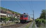 Die SBB Re 4/4 II 11252 (Re 420 252-9)  Smille  ist mit einem Postzug auf der letzten Einspurstrecke der Jura-Fuss Bahnstrecke bei Ligerz unterwegs. 

11. Juli 2025
