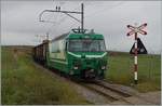 Das Verlanden der Zuckerrüben kann natürlich nur bei ausgeschalteter und geerdeter Fahrleitung erfolgen, ein Grund, weshalb der Tm 41 (der nicht zu sehen ist) immer mit dabei ist.