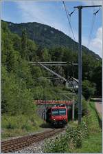 Der RE 18124 erreicht in Kürze Champ-du-Moulin. 

13. Aug. 2019