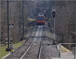 Hier kommen die Fast-Rentner Be 556 522, ein Tiefeinstiegswagen und ein nicht bekannter Be 556, hinten Be 556 527 vom Uetliberg zurück nach Uitikon-Waldegg.