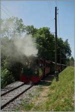 Obwohl auf Talfahrt und das Dampftram G2/2 N° 4  Rimini  (1900) nur nachschiebt, verbreitet die G 2/2 doch mächtig viel  Rauch.