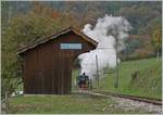 Die Blonay-Chamby G 2x 2/2 105 dampft mit ihrem Zug nach Chaulin die recht strak geneigte Strecke bei Cornaux hinauf.