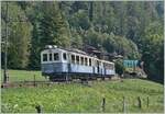  Le Chablais en fête  bei der Blonay Chamby Bahn.