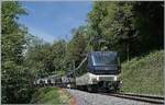 Seit der Inbetriebnahme der GoldenPass Exprss GPX Z�ge bin ich auf der Suche nach geeigneten Fotostellen, welche mir erlauben, die Seite Zweisimmen eingereihte Lok im richtigen Licht zu haben. Nun habe ich bei Chamby, bei Km 8.3 eine Fotostelle entdeckt die recht gut passt, aber nicht erlaubt, den ganzen Zug aufs Bild zu bekommen. Die MOB Ge 4/4 8002 ist mit dem GPX 4074 von Montreux nach Interlaken Ost oberhalb von Chamby bei Km 8.3 auf dem Weg nach Zweisimmen.

2. Mai 2026 