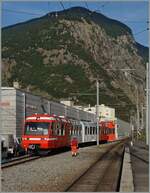 Der MC TMR BDeh 4/8 21 rangiert in Martigny. 

28. Aug. 2015
