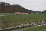 Zwischen Lampenberg Ramlinsburg und Talhaus zeigt sich ein nach Liestal fahrender Waldenburger Zug. 

21. M�rz 2021
