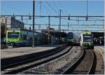 Zwischen  Ninas  und  Lötschberger  findet sich etwas zurückversetzt noch ein  Mutz ; BLS Triebzüge RABe 527, RABe 515 und RABe 535 in Thun.