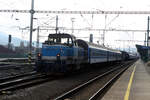 BR 714/861307/714-202-von-ceske-drahy-beim 714 202 von Ceske Drahy beim Rangieren im Bahnhof Decin hl.n. am 13.3.24