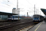 809 239 und 814 051 / 914 051 im Bahnhof Decin hl.n. am 13.3.24